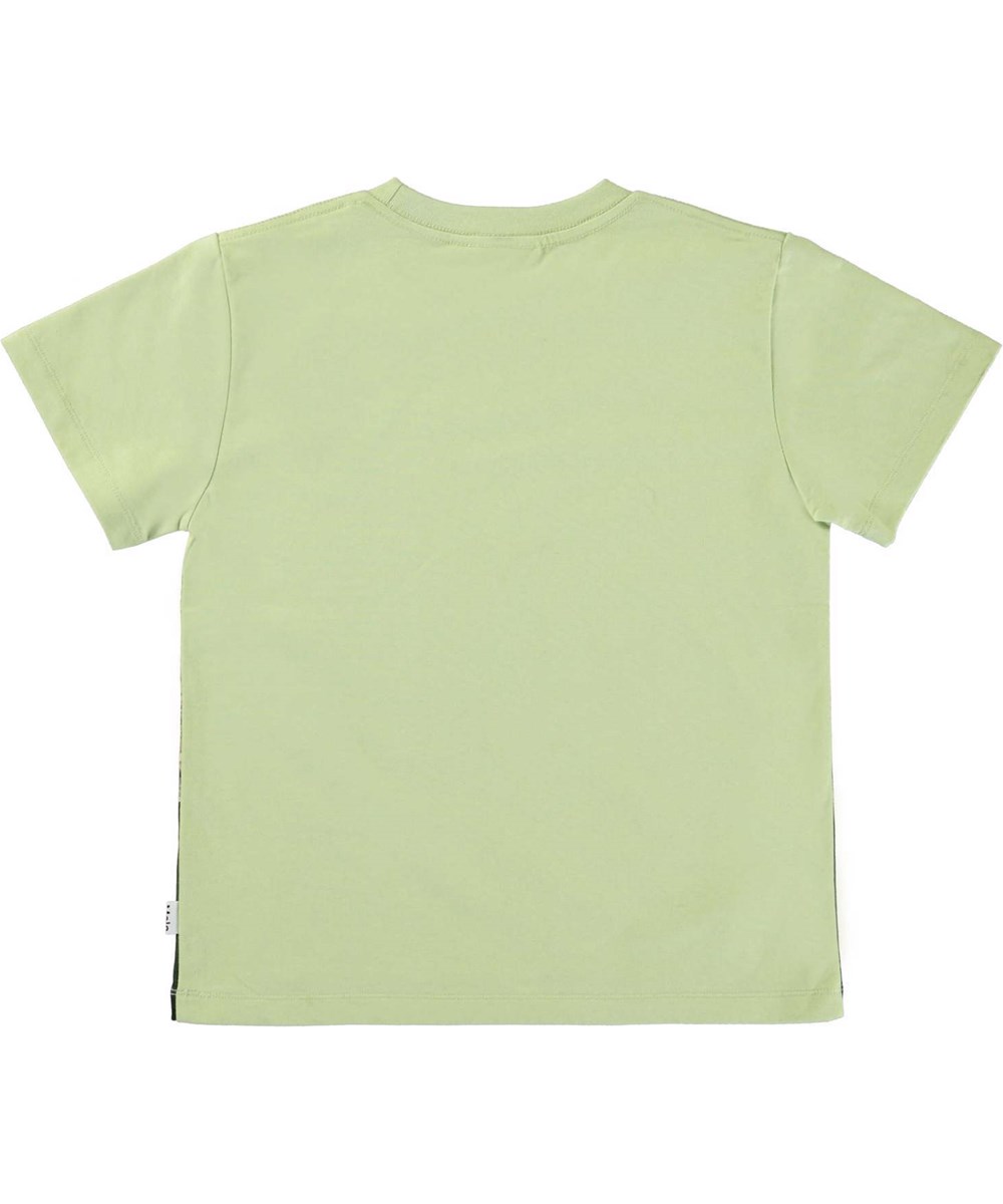 Rame - Dino Earth - Green t-shirt with dinosaur print