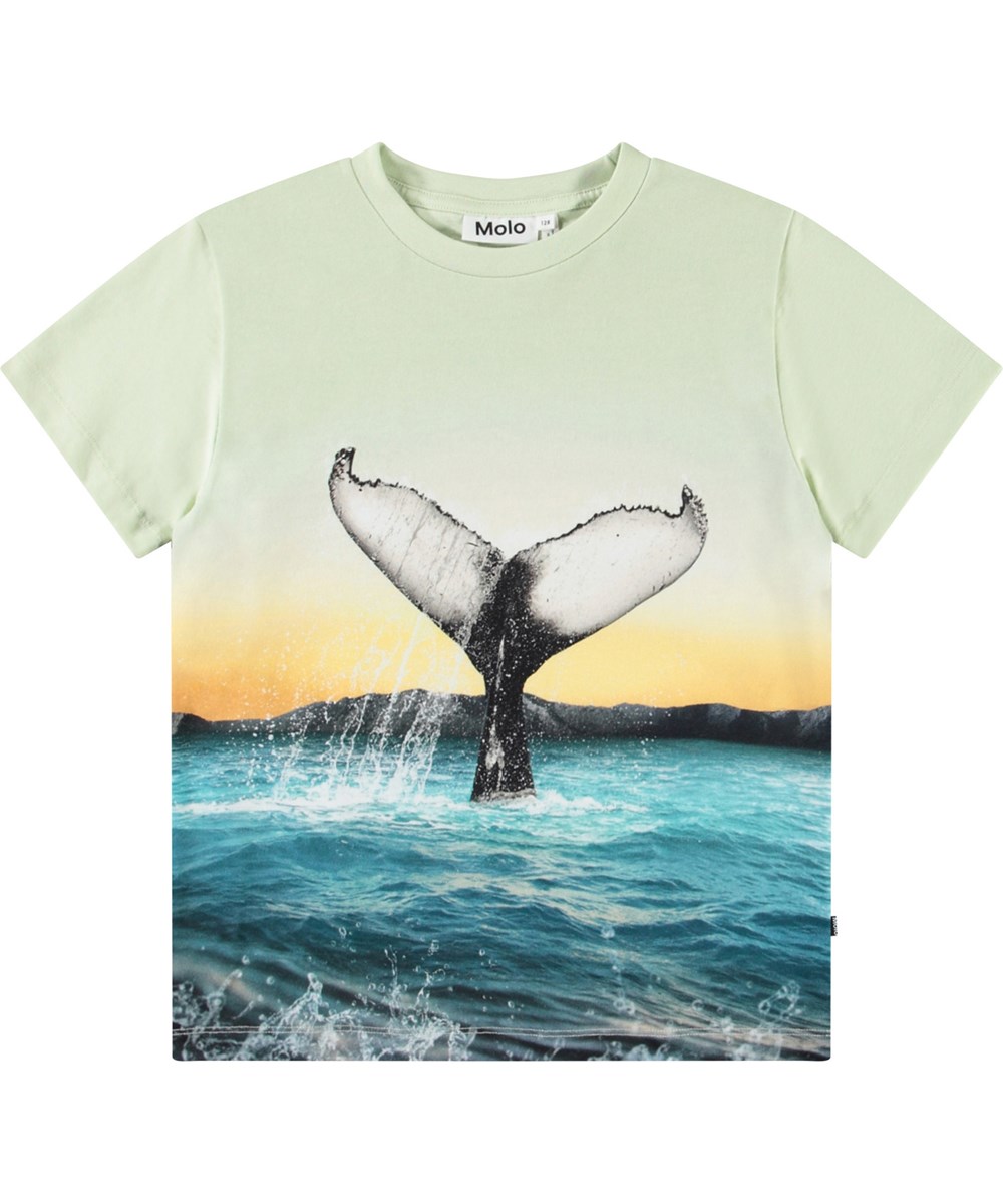 Rame - Whale Tail - Pale green t-shirt with print for children in soft organic cotton with ribbed neckline.