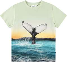 Rame T-shirts & Tops