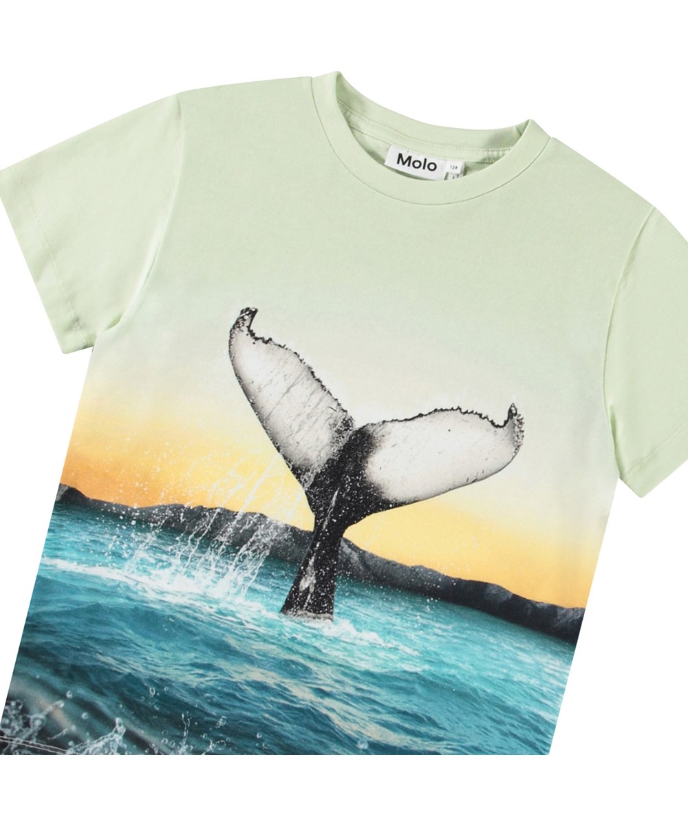 Rame - Whale Tail - Pale green t-shirt with print for children in soft organic cotton with ribbed neckline.