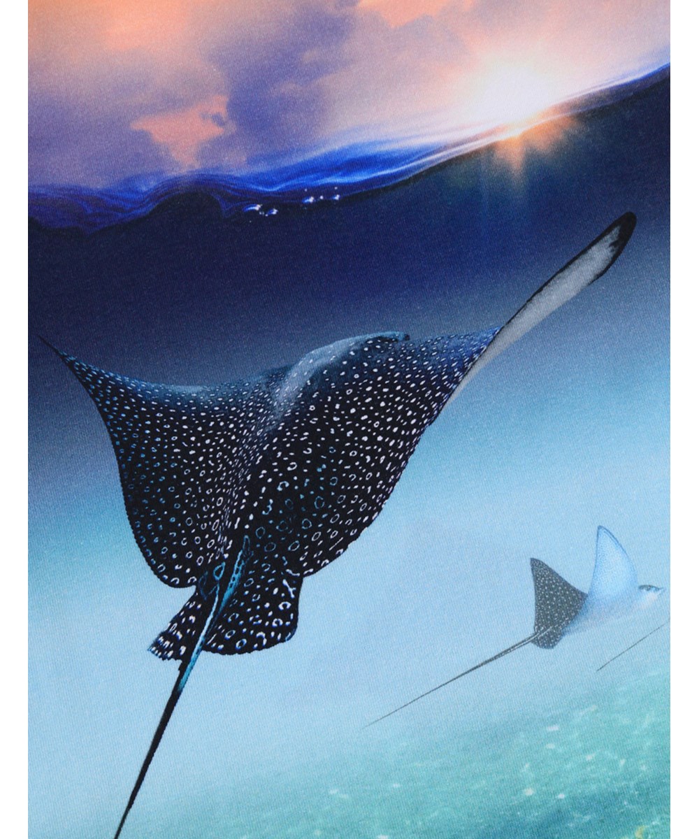 Raul - Into The Sunset - Orange t-shirt for children made of organic cotton with print.