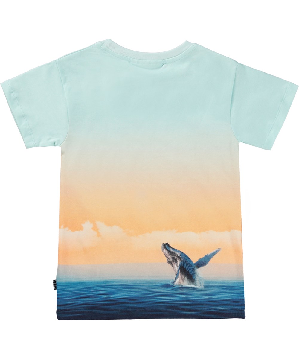 Raul - Ocean Smile - Blue and orange t-shirt in organic cotton with a whale and dolphin print 