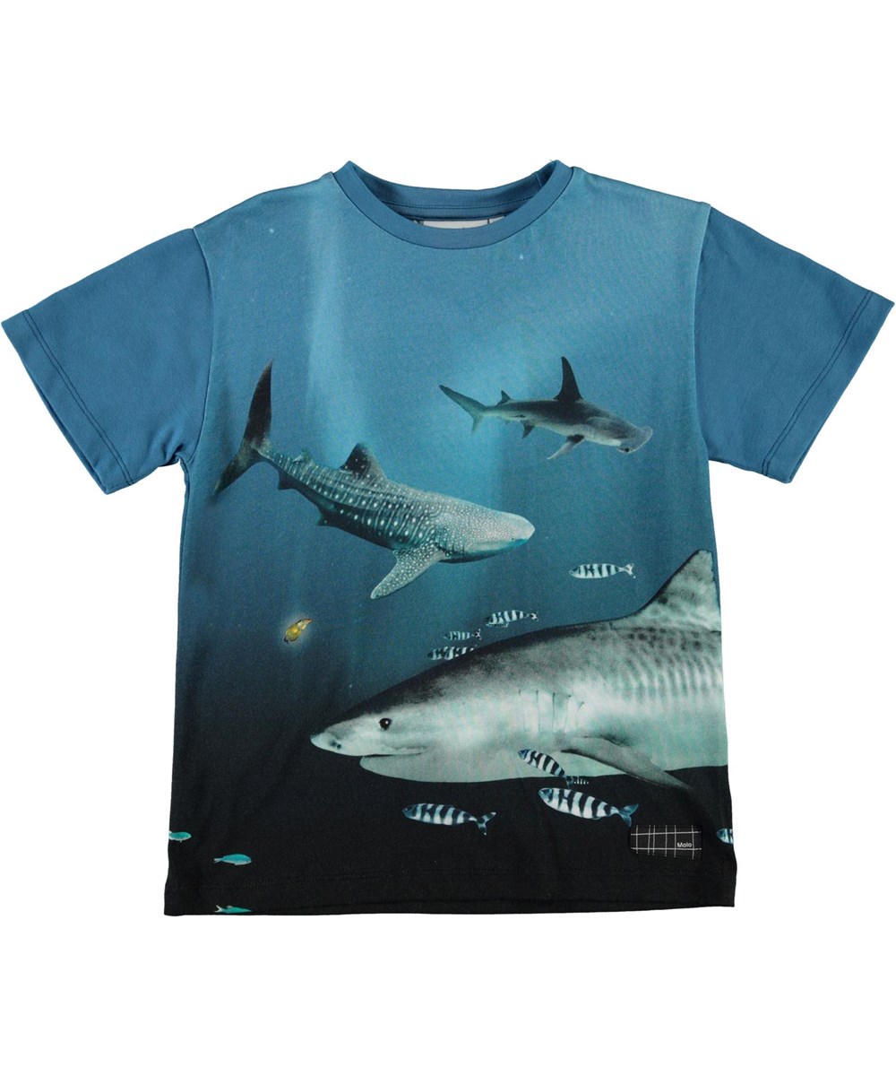 Raveno - Big Fish - Blue organic t-shirt with shark print