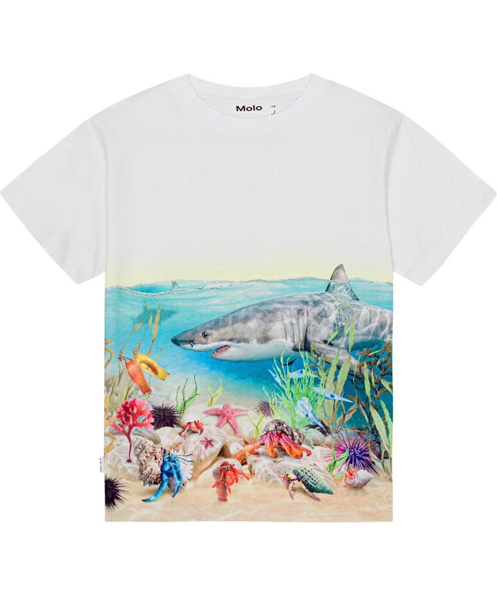 Raveno - Shore Sharks - White, organic t-shirt with a multi-coloured placement shark print
