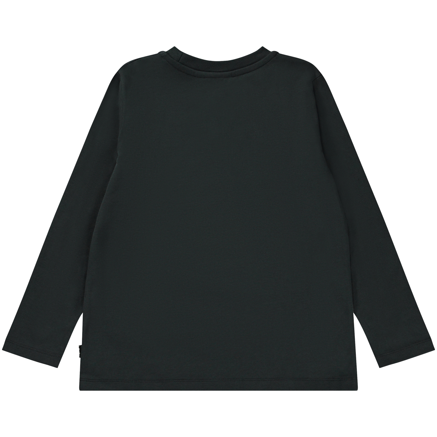 Reif T-Rex Planet Black organic long sleeve t-shirt with