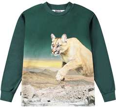 Rexton T-shirts & Tops