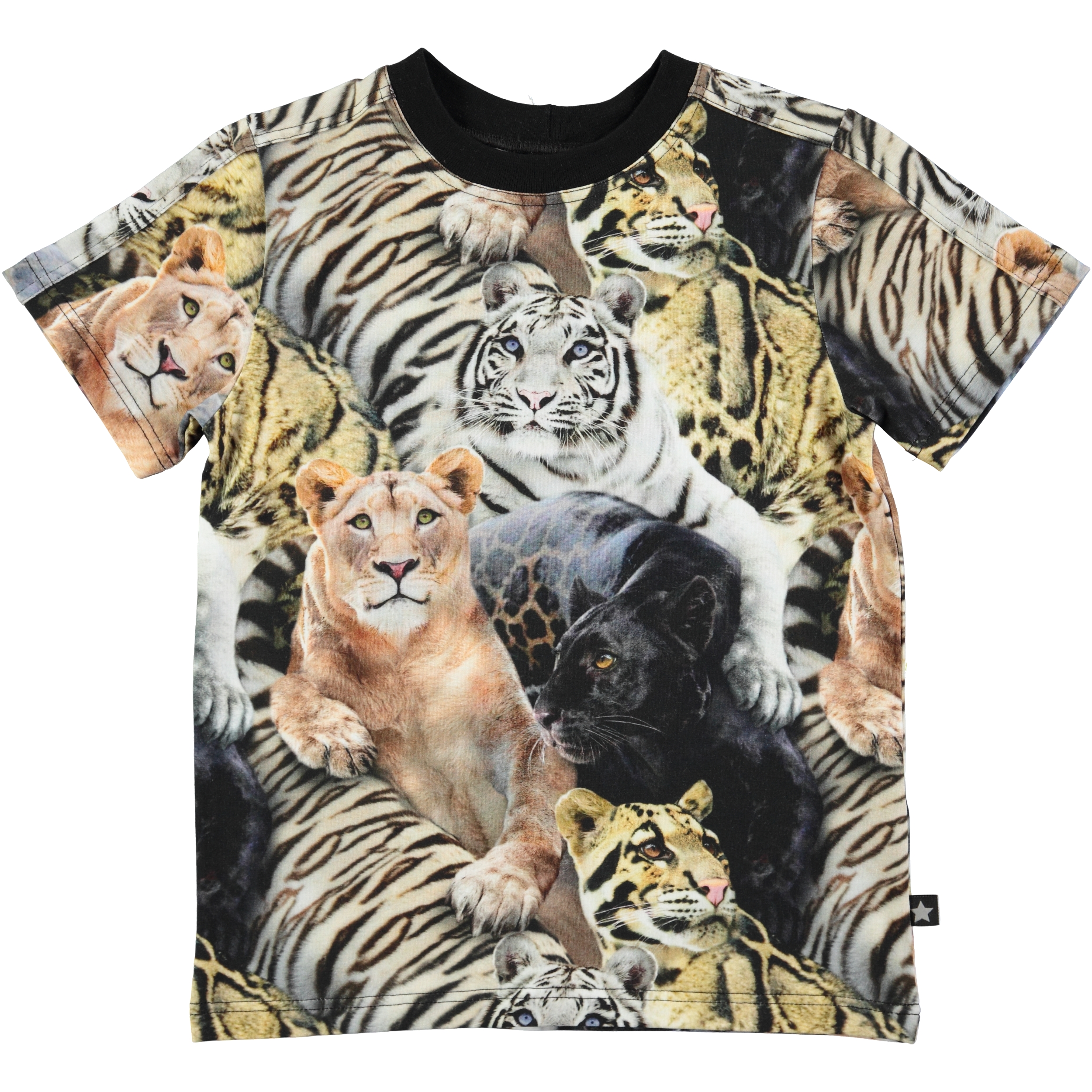 wild cats t shirt