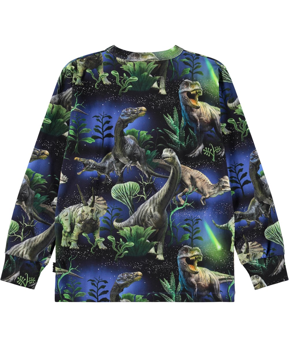 Rill - Dinorama - Grey long-sleeved top for children made of soft organic cotton with long sleeves and a ribbed neckline. The long-sleeved top has a regular fit and a print of dinosaurs under a beautiful night sky.