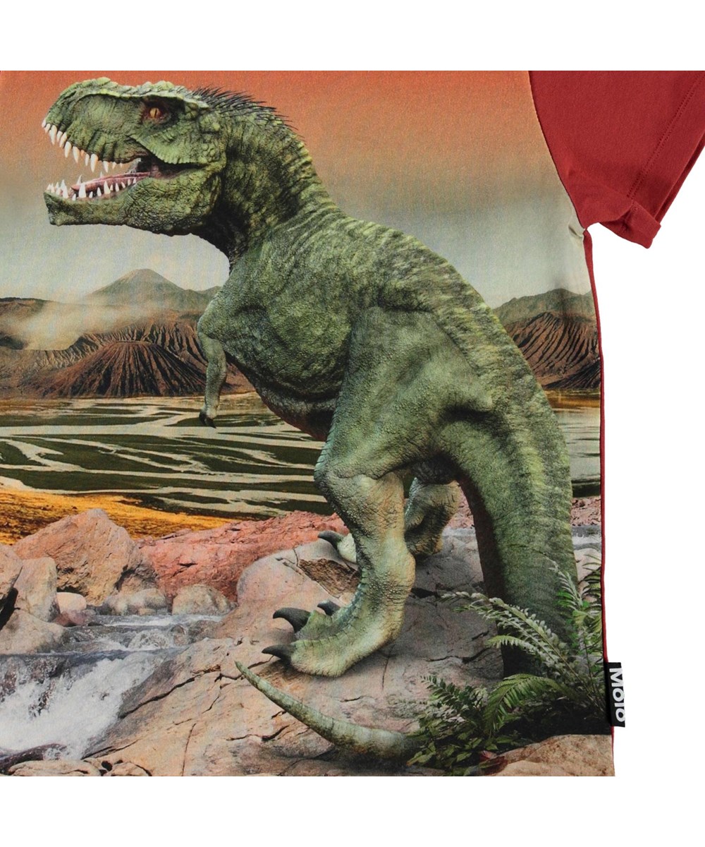 Road - Dinosaurs - Organic t-shirt with t-rex dino