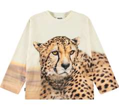 Rollo T-shirts & Tops