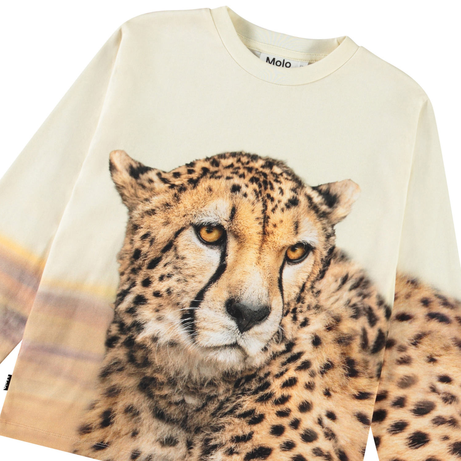 Rollo - Big Cheetah Light - Sweatshirt for children in soft