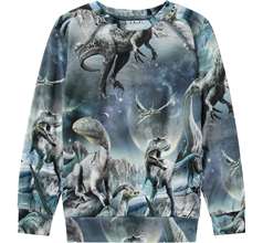 Romeo T-shirts & Tops