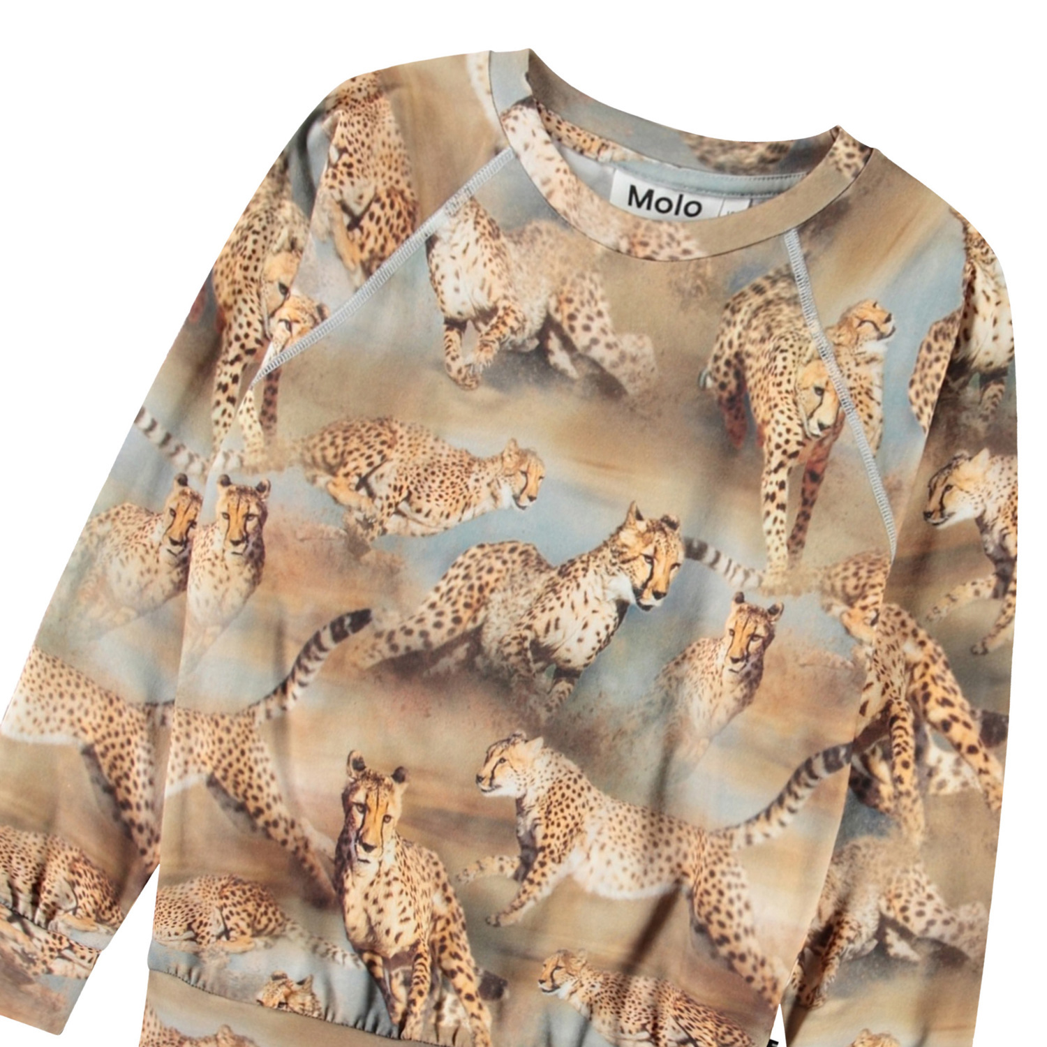 Romeo Fast Cheetahs Sweatshirt for children in soft organic cotton