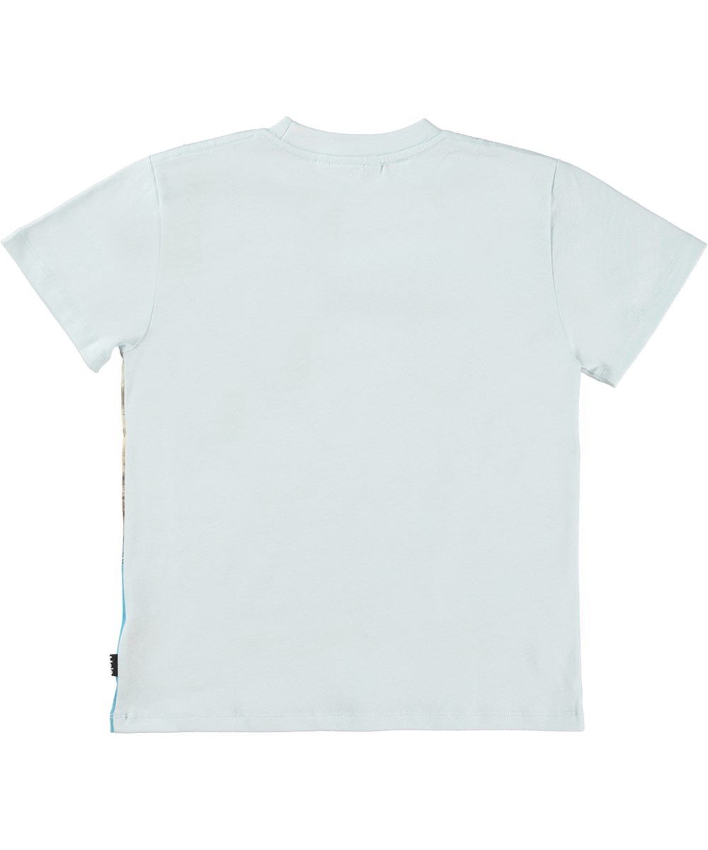 Roxo - Carnivores - Light blue organic t-shirt with T-Rex dinosaur print