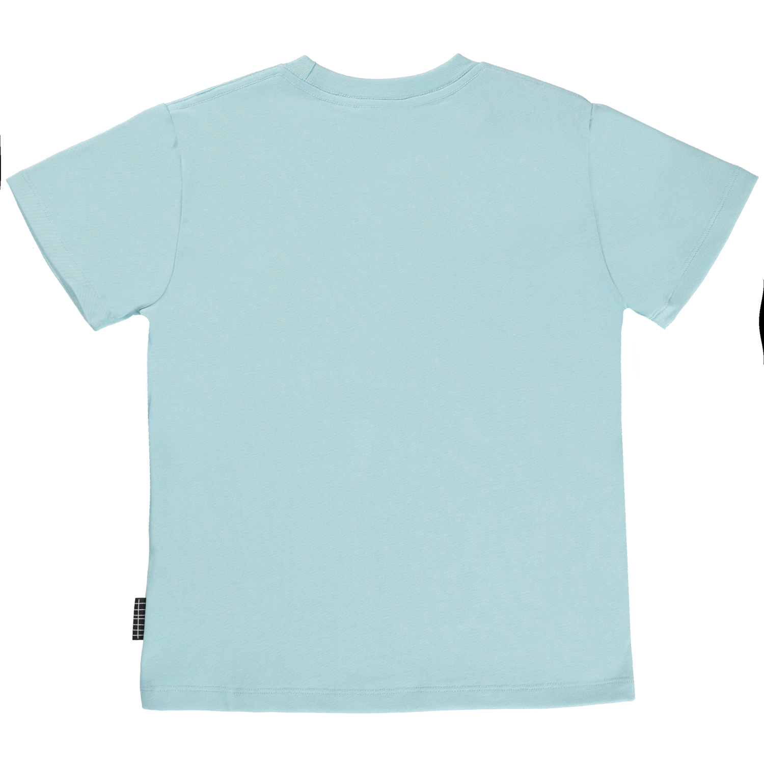 Roxo - Earthrise - Light blue organic t-shirt with Earth - Molo