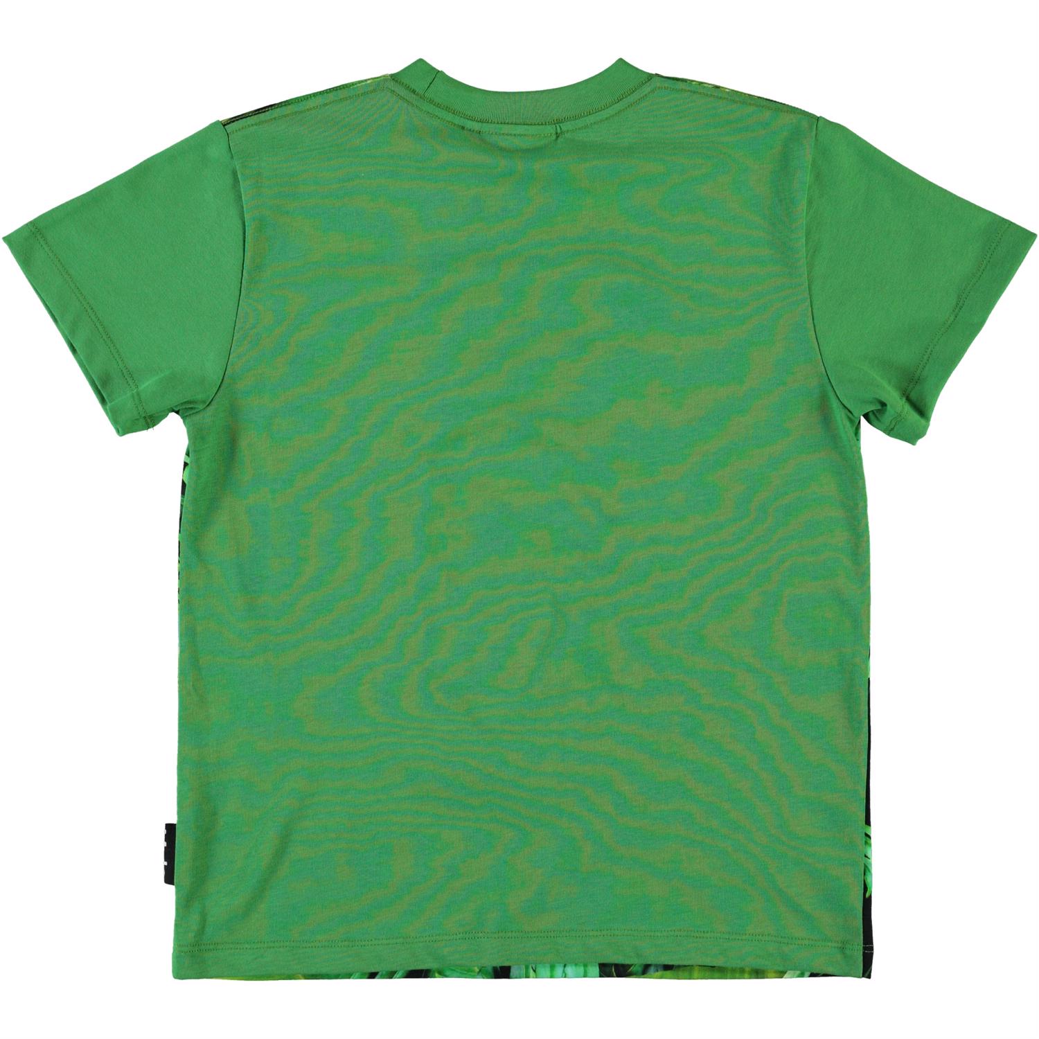 Roxo - Gorilla - Organic green t-shirt with gorilla - Molo