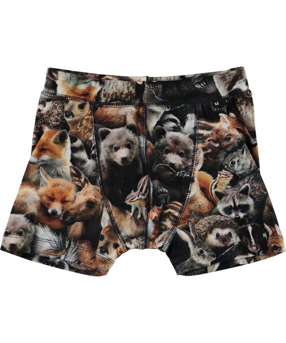 Jon - Forest Animals - Organic boxershorts with animal print