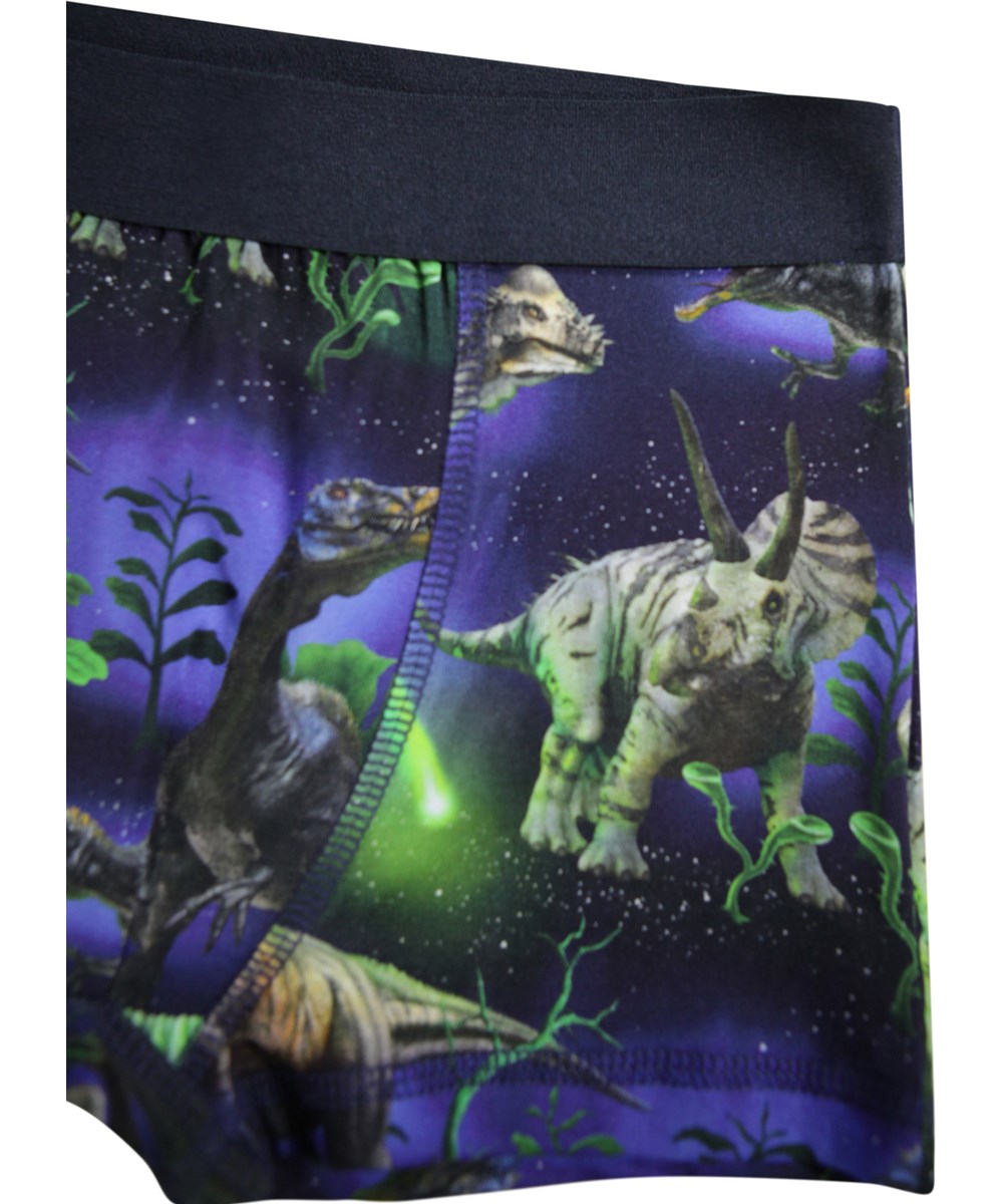 Justin 2-pack - Dino Galaxy - 2-pack of children''s boxer shorts made of soft, organic cotton with a wide elastic waistband for a comfortable fit.
