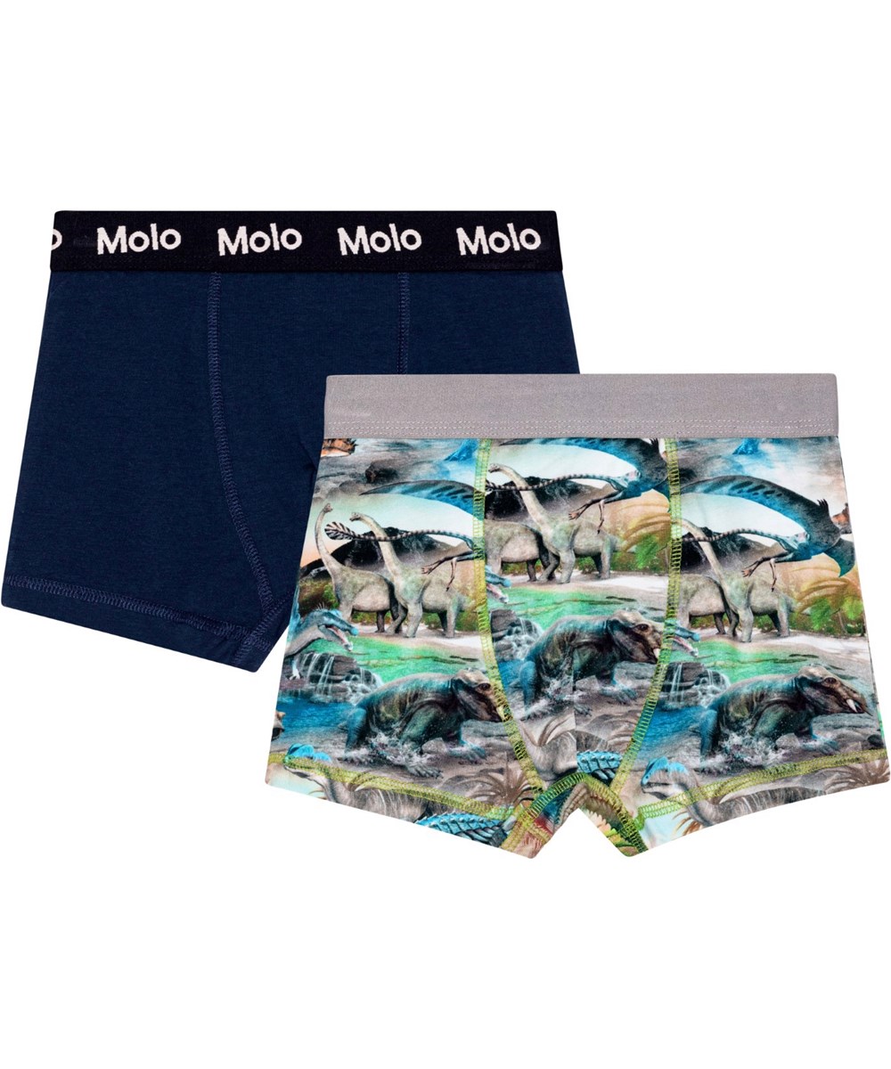 Justin 2-pack - Dino Universe - 2-pack organic boxershorts