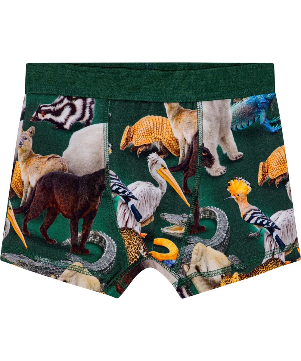 Justin 2-pack - Ponderosa Mix - 2-pack boxershorts made from organic cotton with animal print.