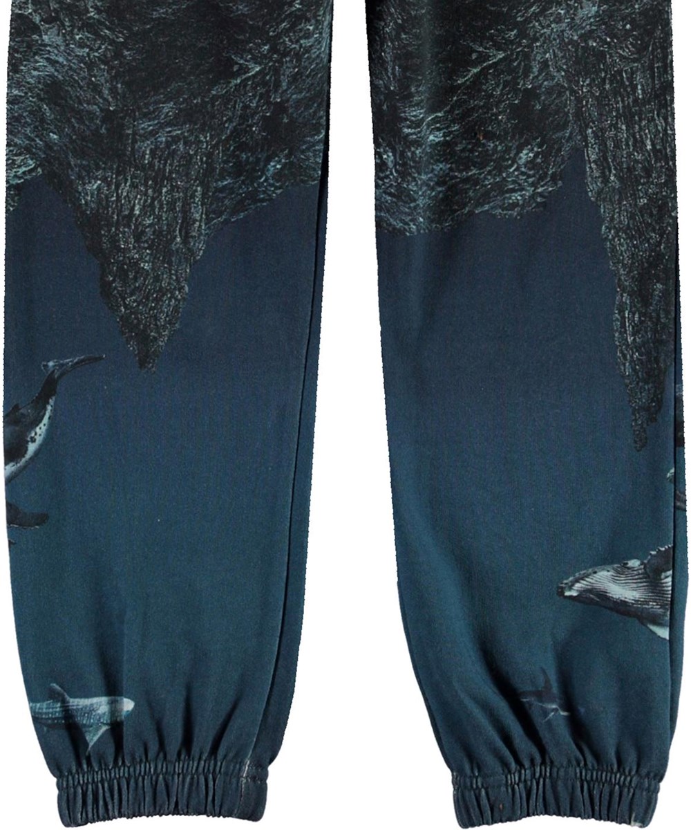 Am - Entirety Low - Økologiske sweatpants med jord, hav og dyr