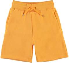 Alw Shorts