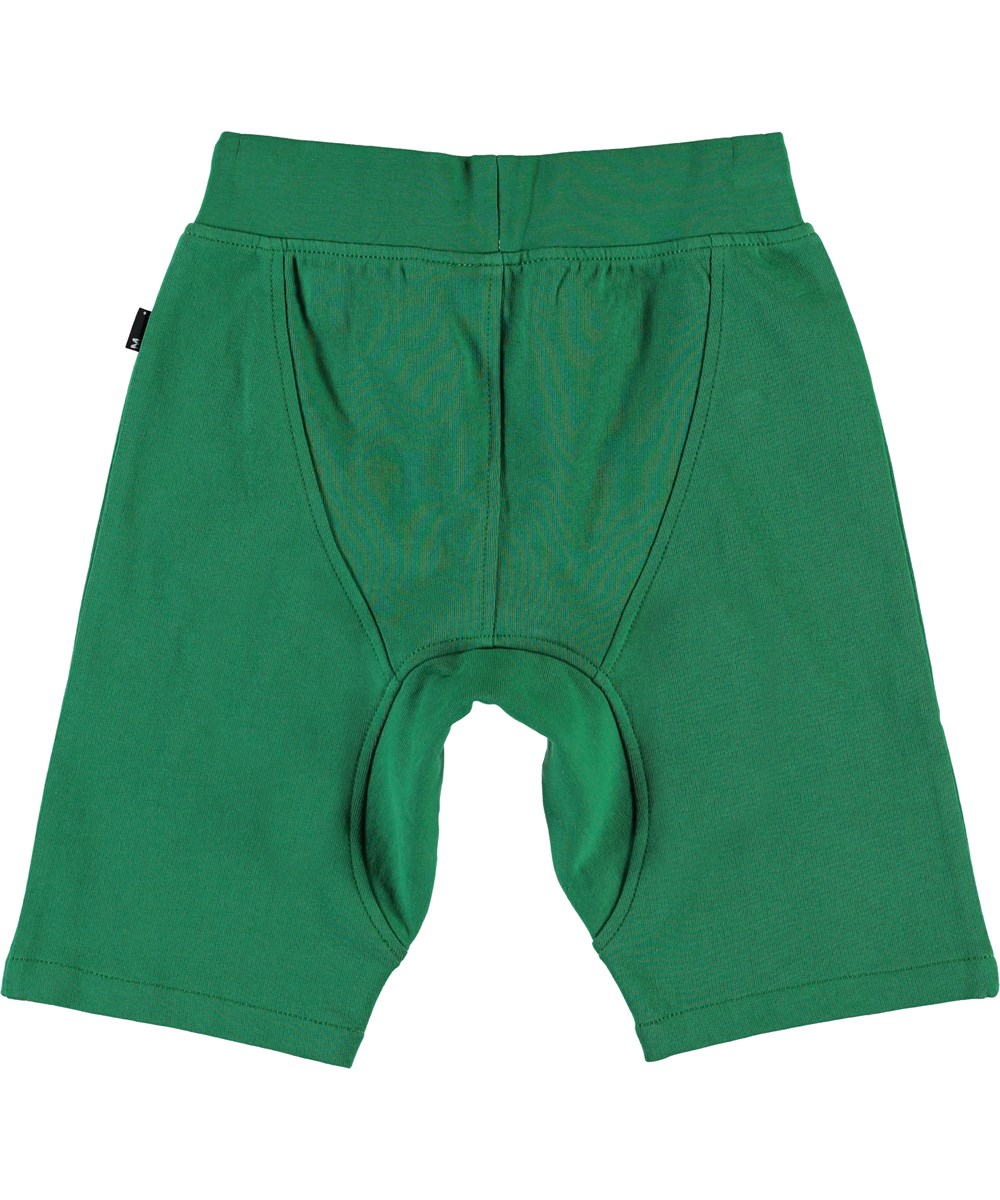 Ashtonshort - Jungle - Grønne sweat shorts