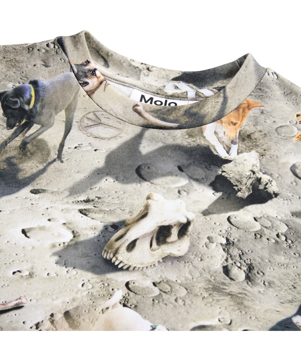 Ralphie - Moon Dogs - Grå t-shirt til til børn med print i blødt økologisk bomuld med korte ærmer og ribkant i halsen.