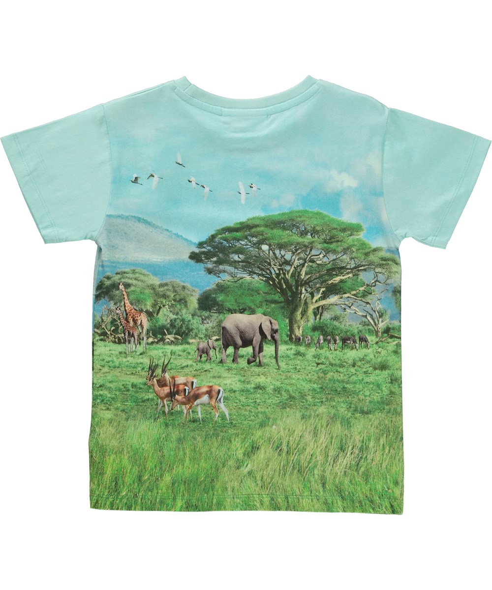 Raul - Exploring - Blå t-shirt med print af en løve og elefanter