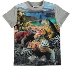 Raymont T-shirts & Tops