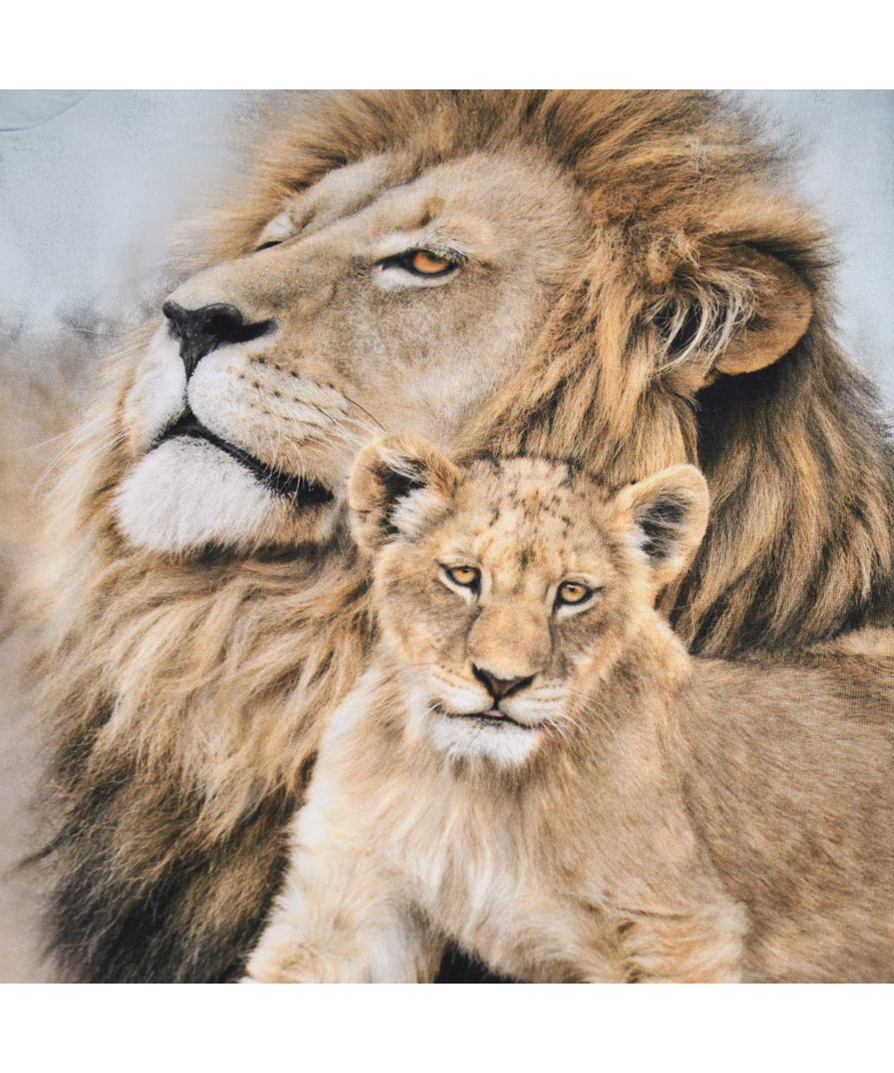 Reif - Lion Family - Lyseblå bluse til børn i blødt økologisk bomuld med lange ærmer og ribkant i halsen. Blusen har en løs pasform og et frontprint af en løve familie.