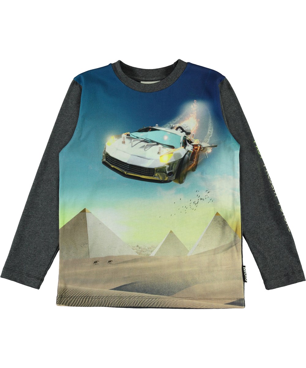 Reif - Past - Grå langærmet bluse med print af bil