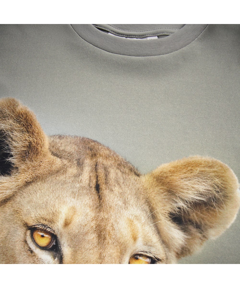 Riley - Leo - Kakifarvet t-shirt til børn med print i blødt økologisk bomuld med korte ærmer og ribkant i halsen.