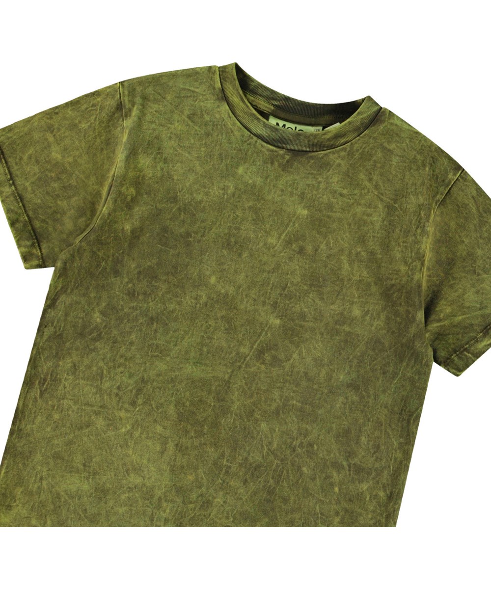 Rodney - Cambuci Dye - Grøn t-shirt til børn i økologisk bomuld med korte ærmer og ribkant i hals.