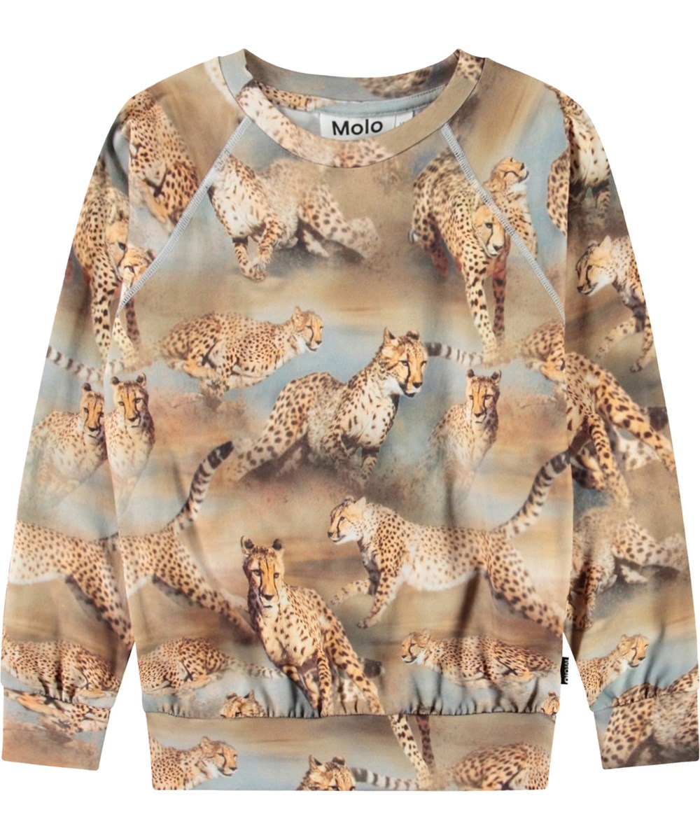 Romeo - Fast Cheetahs - Sweatshirt til børn i blødt økologisk bomuld og ribkant i hals med et print af geparder i fuld fart.
