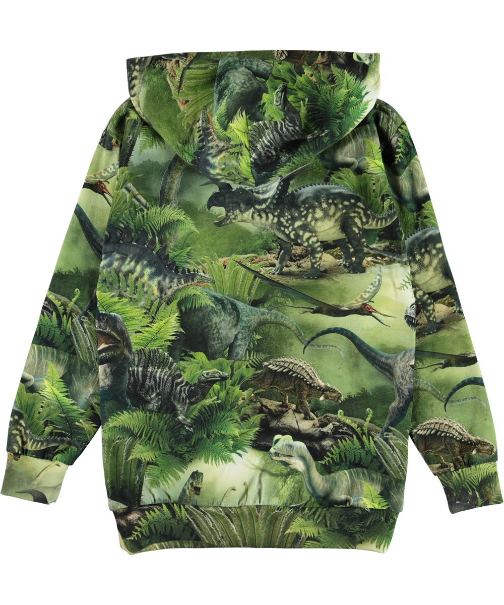 Romo - Dinos - Økologisk hættetrøje med dinosauer print