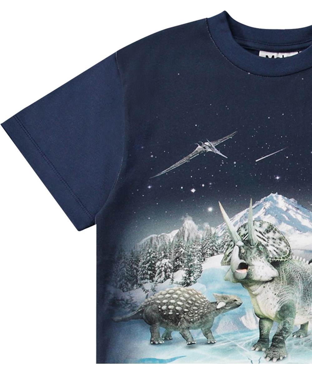 Roxo - Dino Night - Mørkeblå t-shirt i økologisk bomuld med vinter dino print