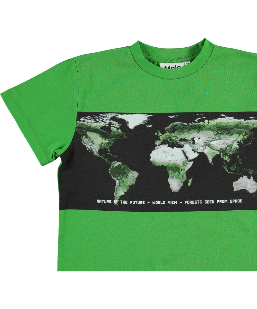 Roxo - Succulent - Grøn t-shirt med kort print