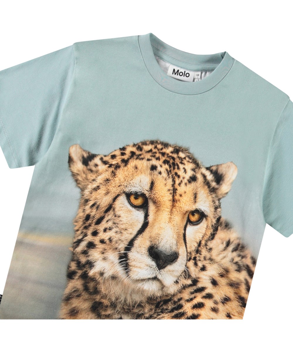 Rubin - Big Cheetah Blue - Blå t-shirt til børn i økologisk bomuld med korte ærmer og ribkant i halsen.