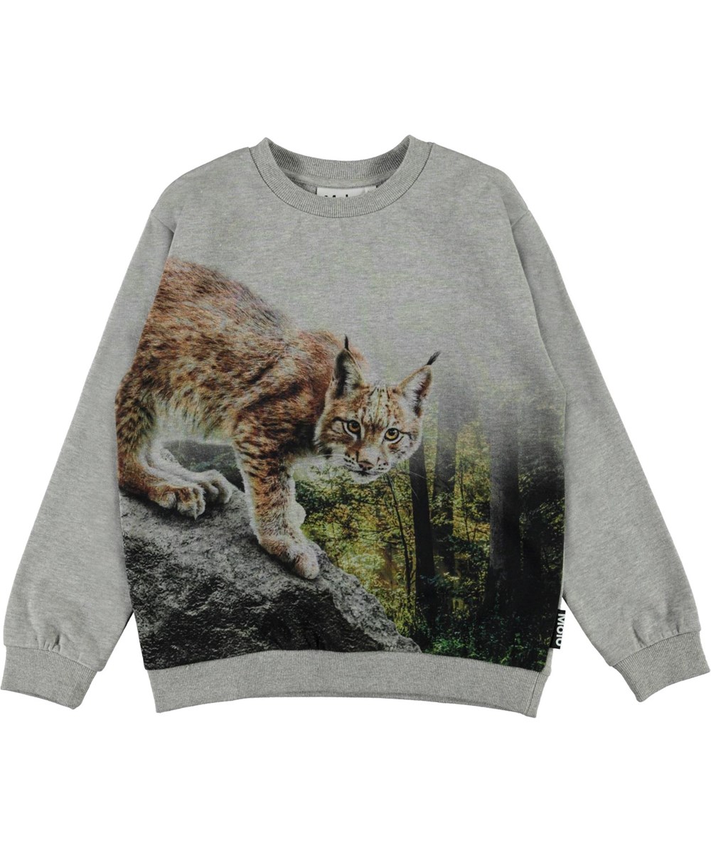 Miksi - Grey Lynx - Økologisk grå sweatshirt med los
