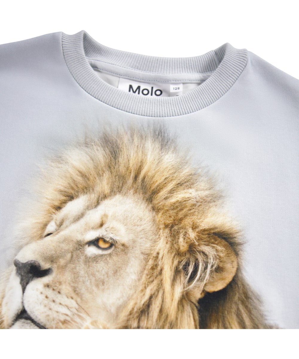 Miksi - Leo Family - Lyseblå sweatshirt til børn i blødt økologisk bomuld med løveprint.