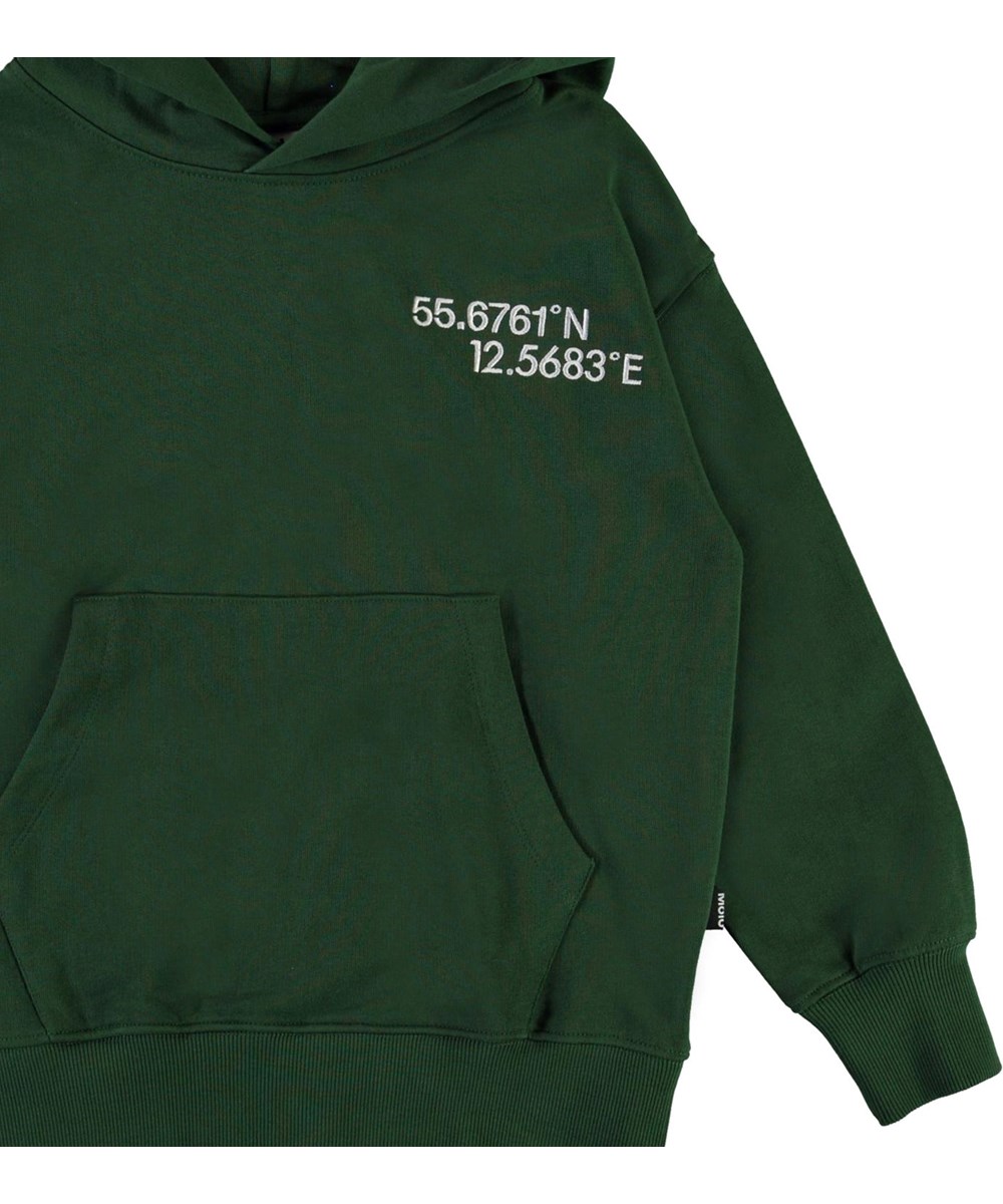 Moz - Eden - Økologisk grøn sweatshirt med kordinater