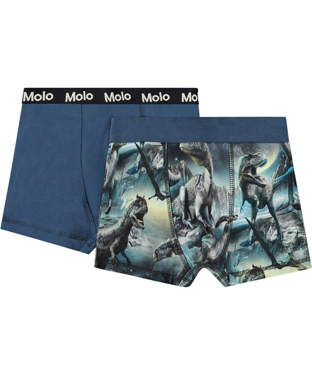 Justin 2-pack - Dinos Calm - 2-pak boxershorts i økologisk bomuld.