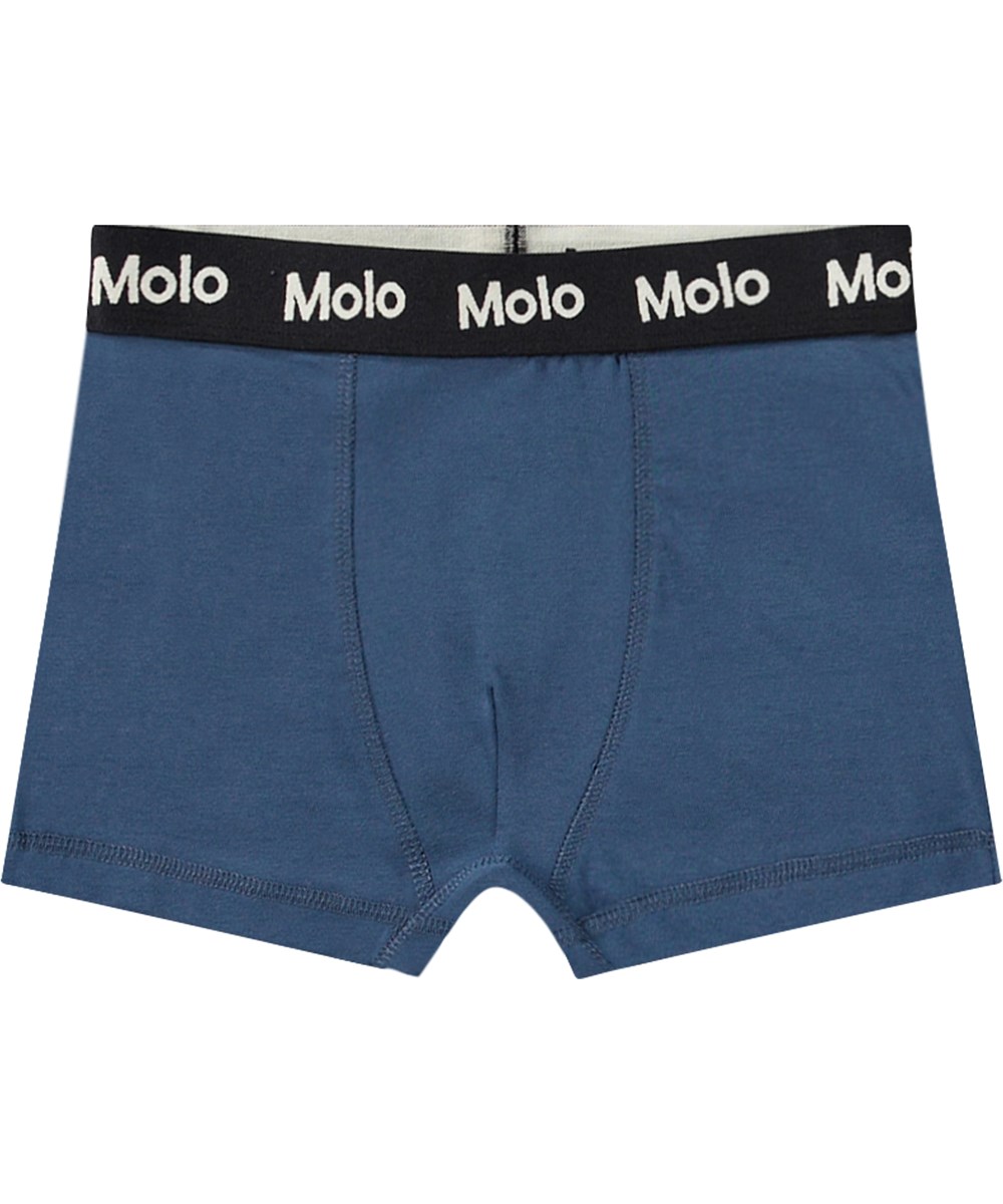 Justin 2-pack - Dinos Calm - 2-pak boxershorts i økologisk bomuld.