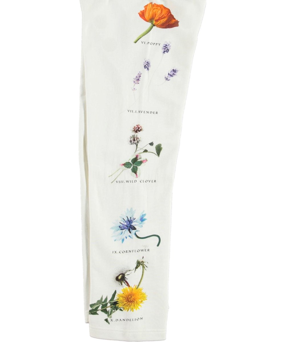 Aurita - Pollen Text - Träningsbyxor med blommor och insekter