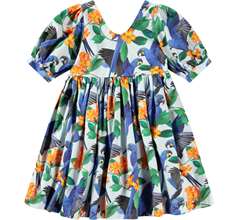 Camilo Dresses