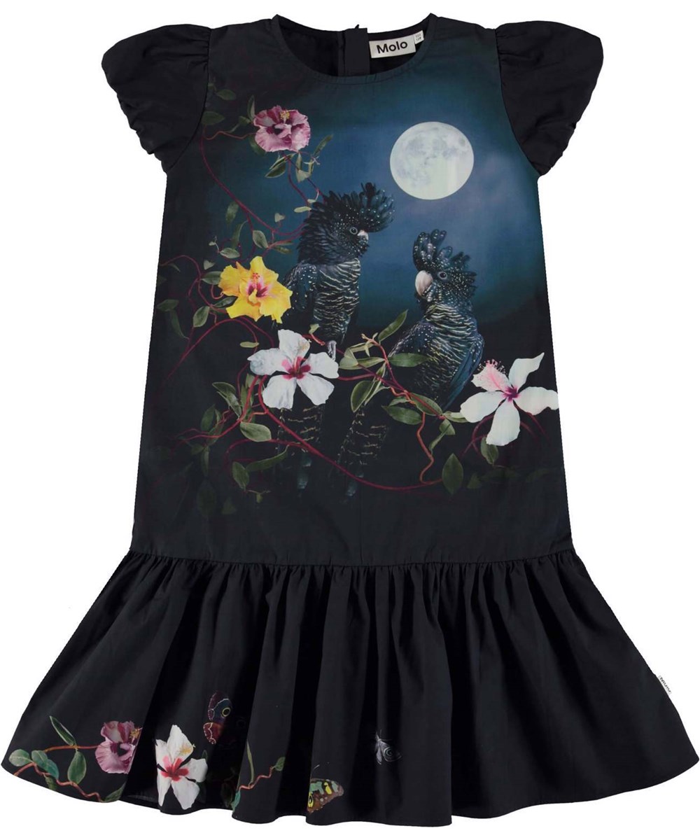 Cerys - Moonlight Birds - Ekologisk mörk klänning med fåglar och månen.