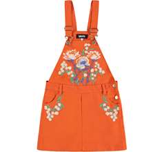 Chakala Dresses