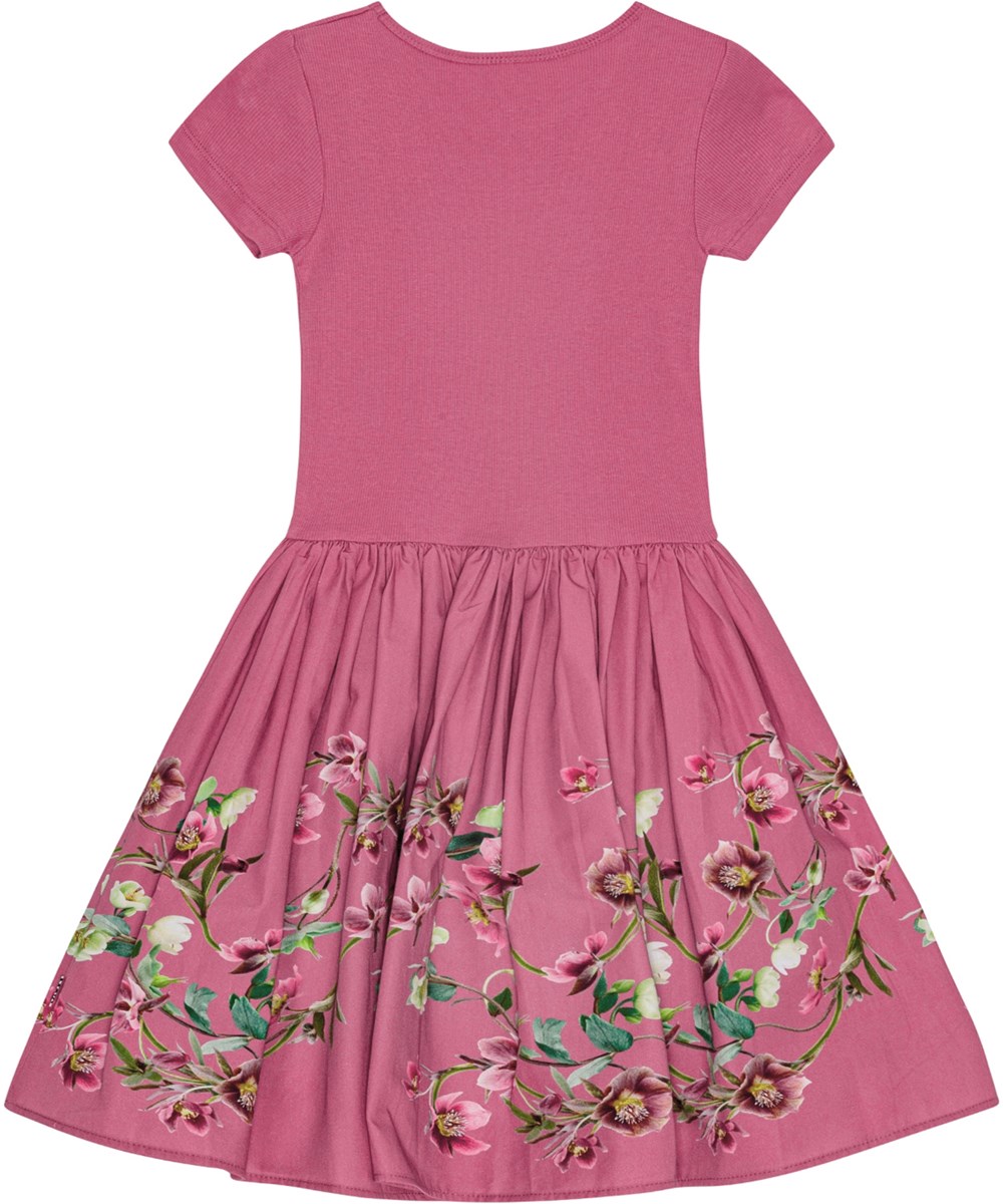 Cissa - Wavy Roses - Rosa ekologisk bomullsklänning med tajt ribbad topp och blommigt tryck på kjolen.