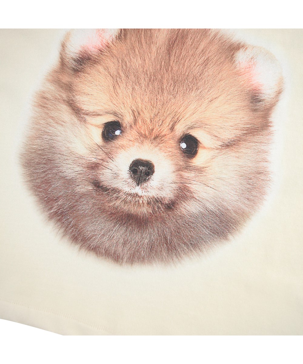 Reniza - POM Pomeranian - Off-white långärmad topp för barn i mjuk ekologisk bomull med muddar och halsringning med en pomeranianhund.